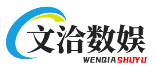 文洽数娱